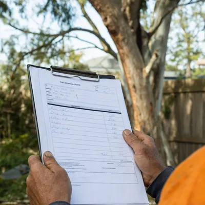 Reading a written tree removal quote on site in Launceston