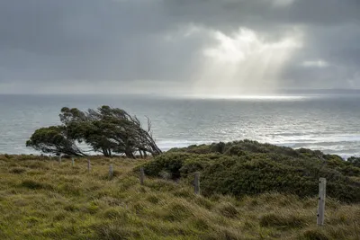 Valley winds and wet winters, Launceston