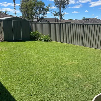 After: Storm callout — elm through back fence, Mowbray, Launceston