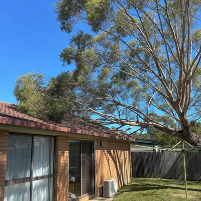 Before: Ash over a slate roof, South Launceston, Launceston