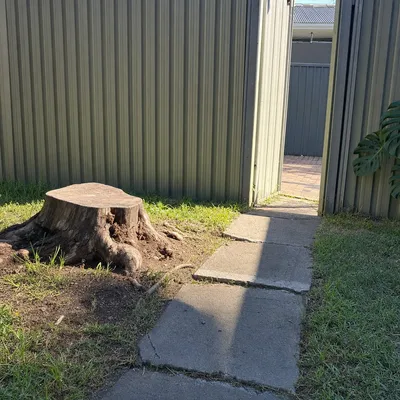Before: Stump removal through a tight side gate, Invermay, Launceston