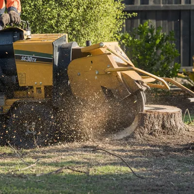 Stump Grinding in Launceston. Stump removal below ground level so you can turf, pave or replant. Narrow machines available for the tight yard access common across older Launceston streets.