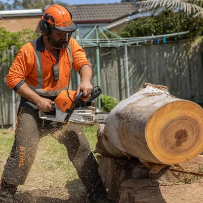 Tree Removal in Launceston. Full felling or top-down sectional dismantling of unwanted, dead or hazardous trees — including trees close to powerlines and buildings across Launceston.